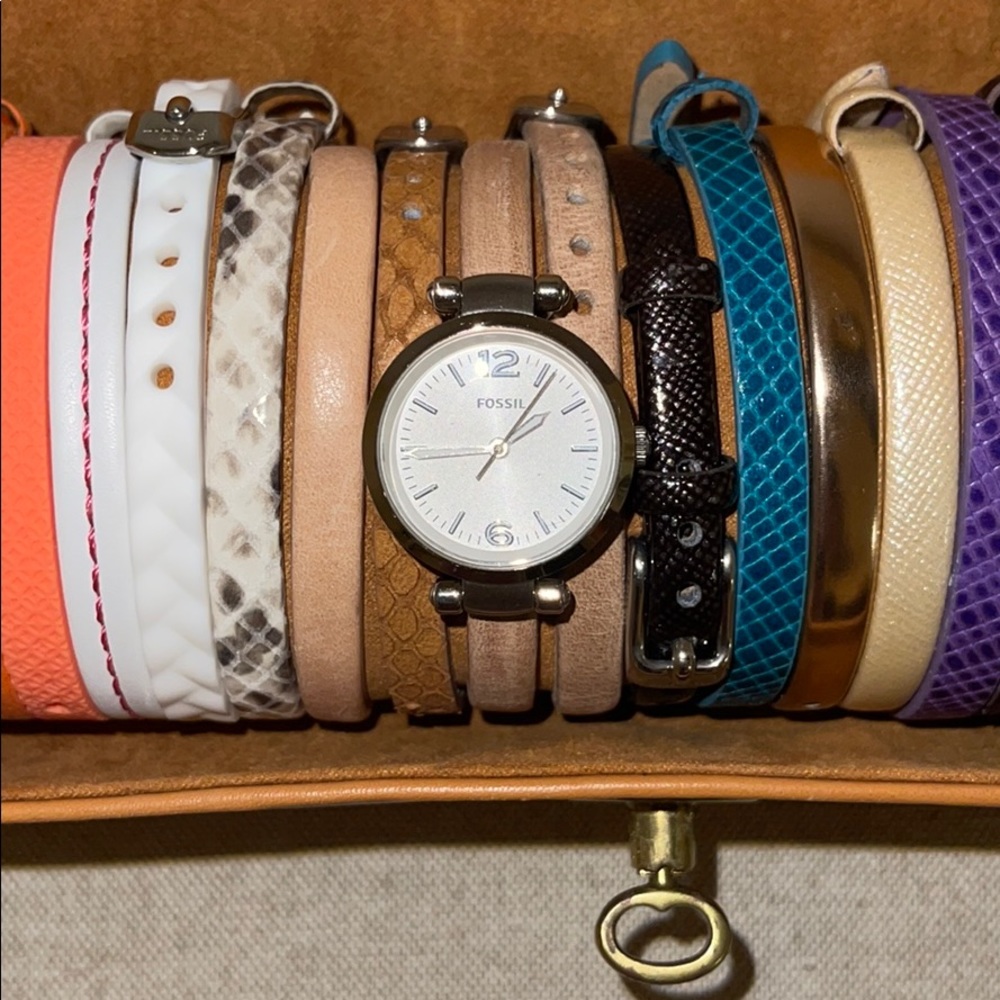 Fossil Watch Set